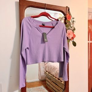 Wild Fable Crop Sweater